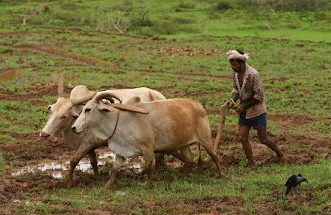 2026 Monsoon