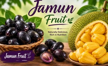 Jamun Fruit