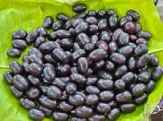 Jamun Fruit